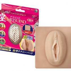 A-One 超射精! Real Type 外陰唇自慰墊 A-One 超射精! Real Type 外陰唇自慰墊