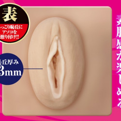A-One 超射精! Real Type 外陰唇自慰墊 A-One 超射精! Real Type 外陰唇自慰墊