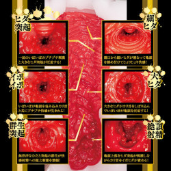 N.P.G 貓耳2 監禁飼育 (松本いちか) N.P.G 貓耳2 監禁飼育 (松本いちか)