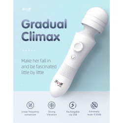 DRYWELL 女用搖杆AV振動棒