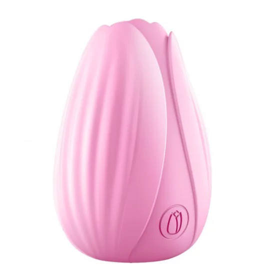 Erocome Lrbra Vibrator Pink Erocome Lrbra Vibrator Pink
