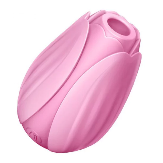 Erocome Lrbra Vibrator Pink Erocome Lrbra Vibrator Pink