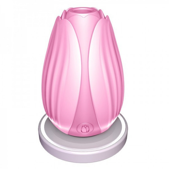 Erocome Lrbra Vibrator Pink