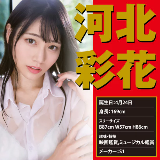 EXE 激系列 (河北彩花)