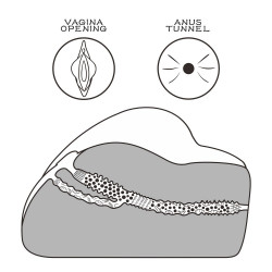 Lovetoy Streetgirl's #3 自慰器 (黑)