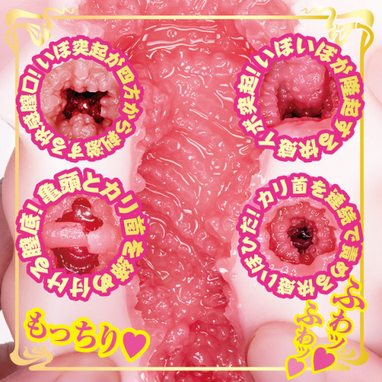 N.P.G AV Mini (Eimi Fukada)
