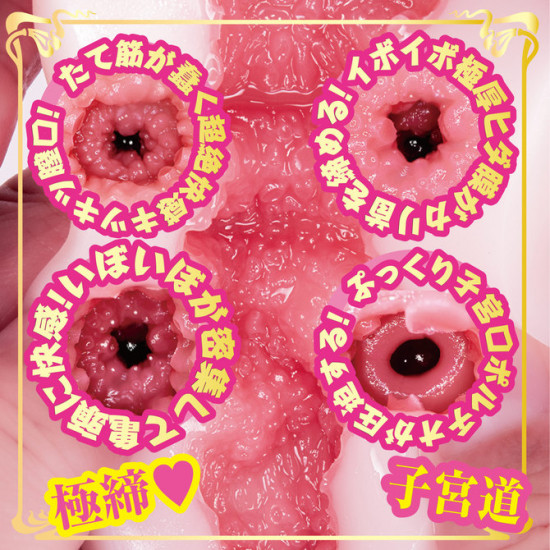 N.P.G AV名器 (田中レモン)