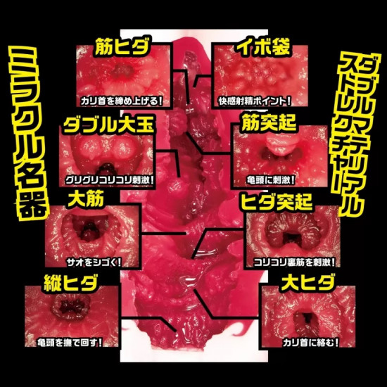 N.P.G 名器之証明 No.012 (深田えいみ)