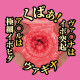 N.P.G 名器の証明 NO.001 (水卜さくら)