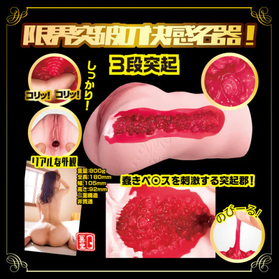 N.P.G New Meikino Syoumei File No,002 (Mitani Akari)