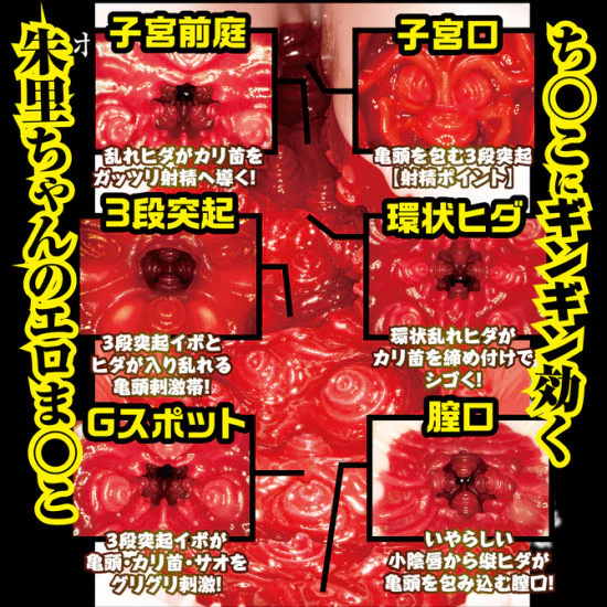 N.P.G New Meikino Syoumei File No,002 (Mitani Akari)
