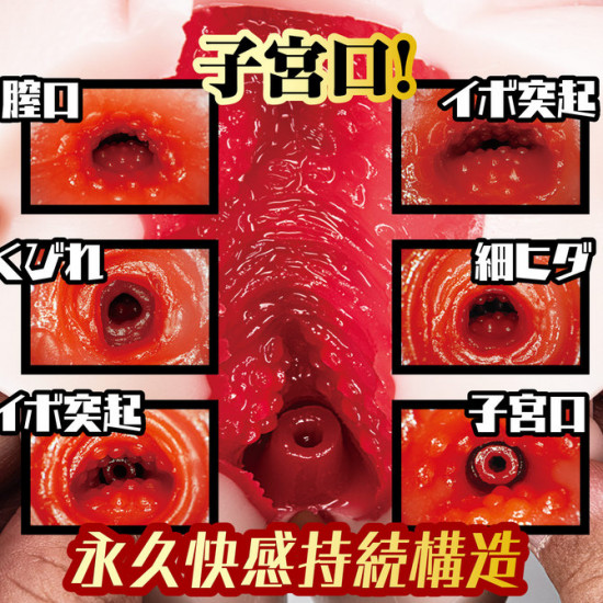 N.P.G 新任女教師背徳の課外授業