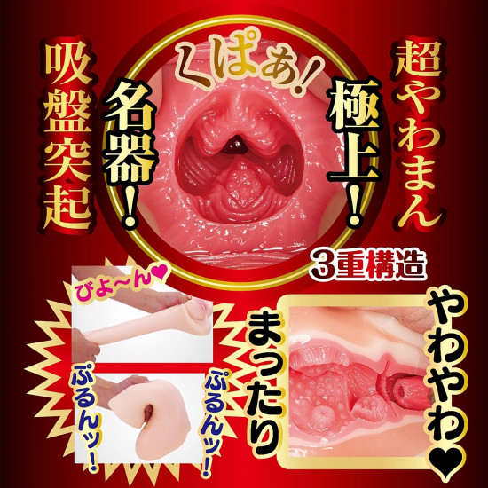 N.P.G  榮譽之名器 橋本有菜 (栄誉の名器 橋本ありな)