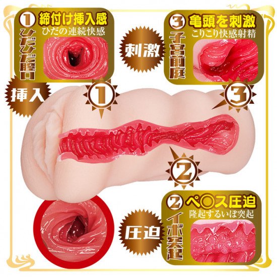 N.P.G AV名器 (橋本ありな)
