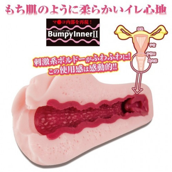 Toy's heart anime famous device (Seventeen Bordeaux Soft)